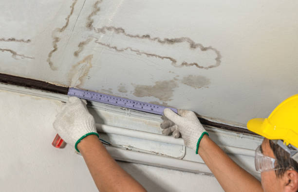 Reliable Mold Remediation contractor in Wolcott, CO by Water Damage Irwin